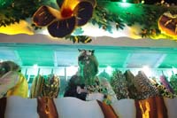 2018-Krewe-of-Endymion-00006420