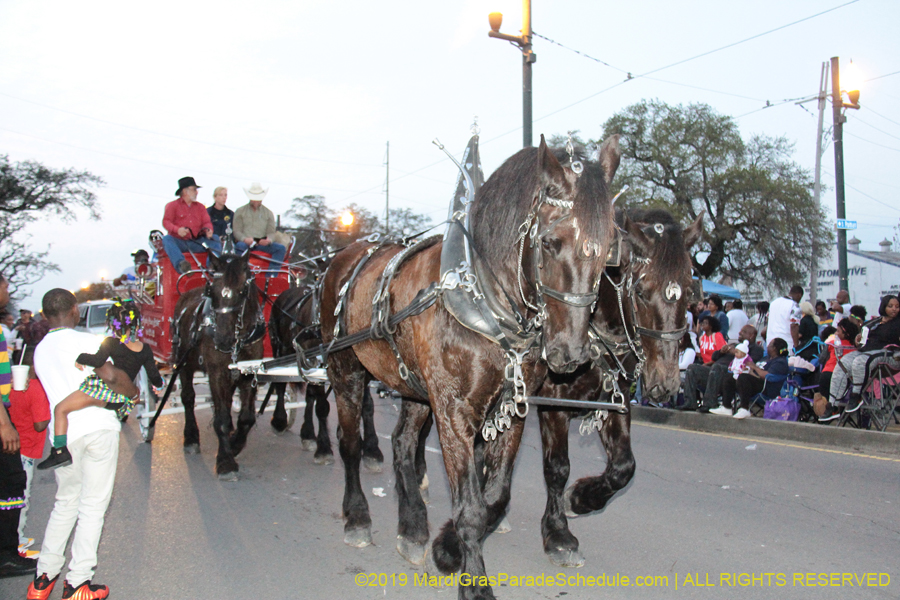 Krewe-of-Endymion-2019-007360