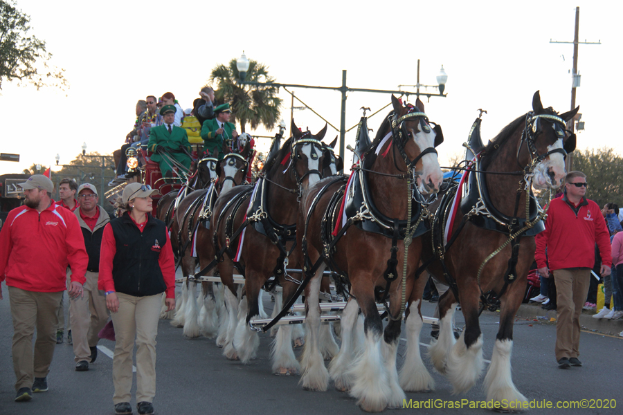 Krewe-of-Endymion-2020-07233