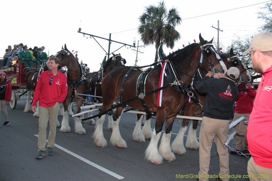 Krewe-of-Endymion-2020-07234