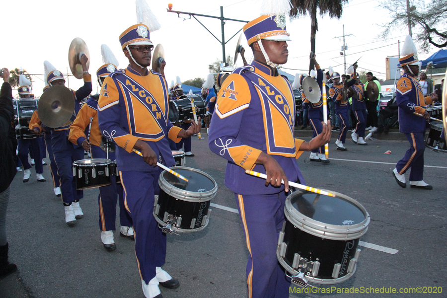 Krewe-of-Endymion-2020-07268