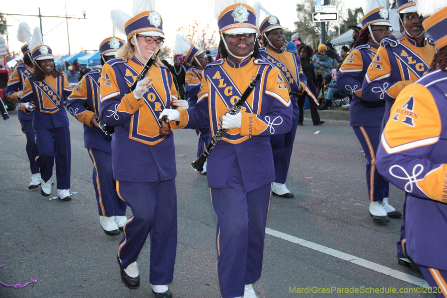Krewe-of-Endymion-2020-07269