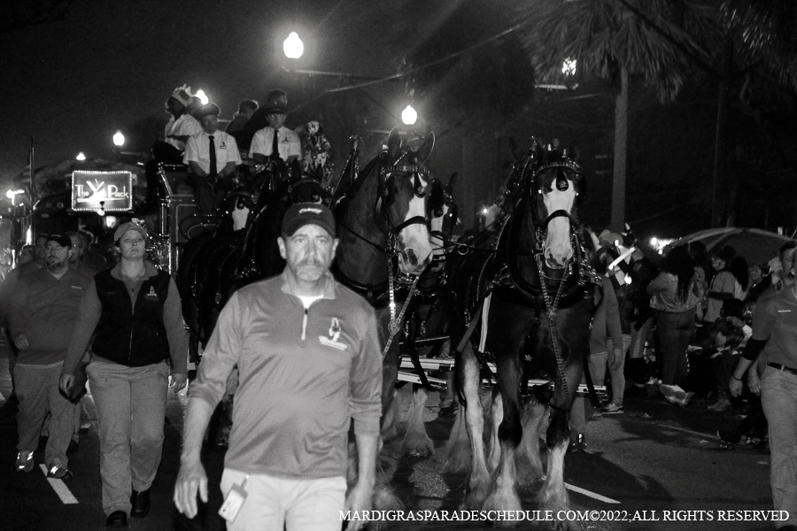 Krewe-of-Endymion-00004-2022