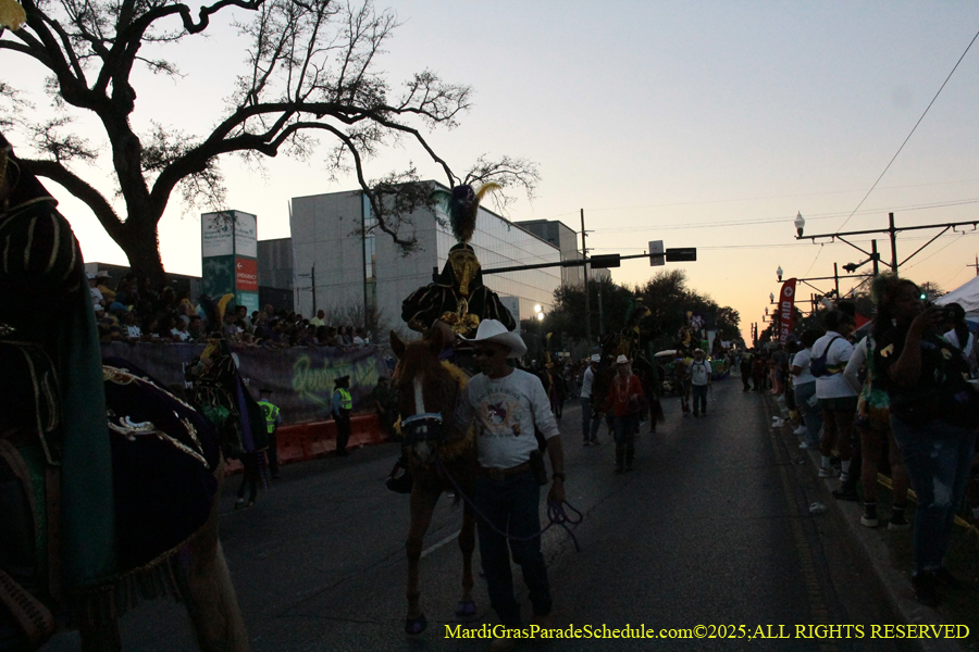 Krewe-of-Endymion-2025-1119