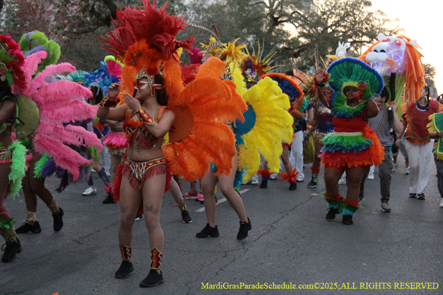 Krewe-of-Endymion-2025-1122