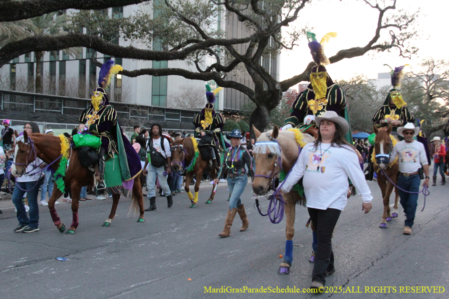 Krewe-of-Endymion-2025-1128