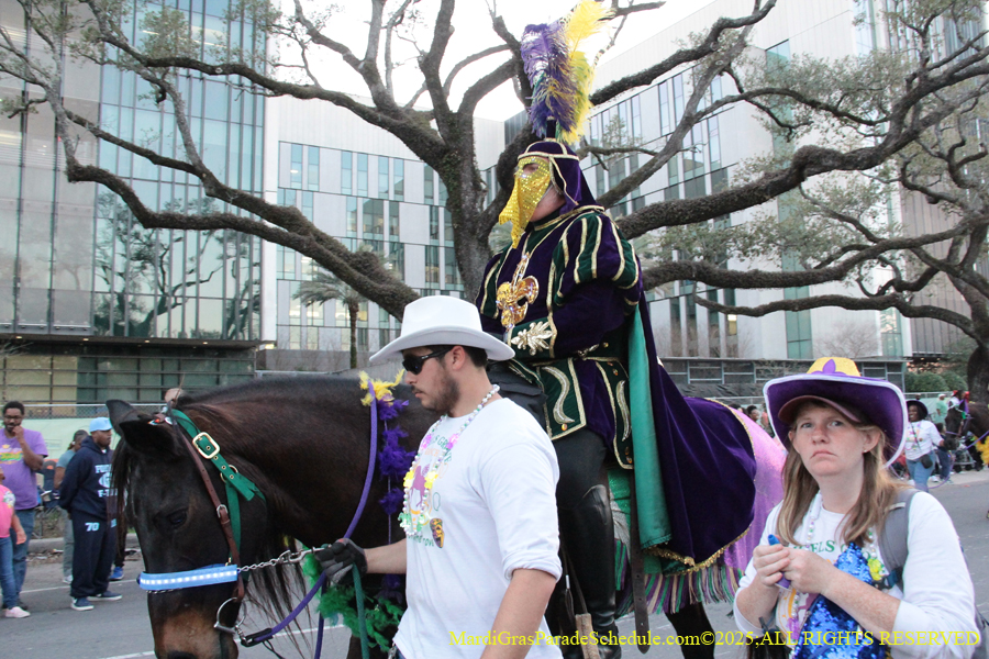 Krewe-of-Endymion-2025-1129