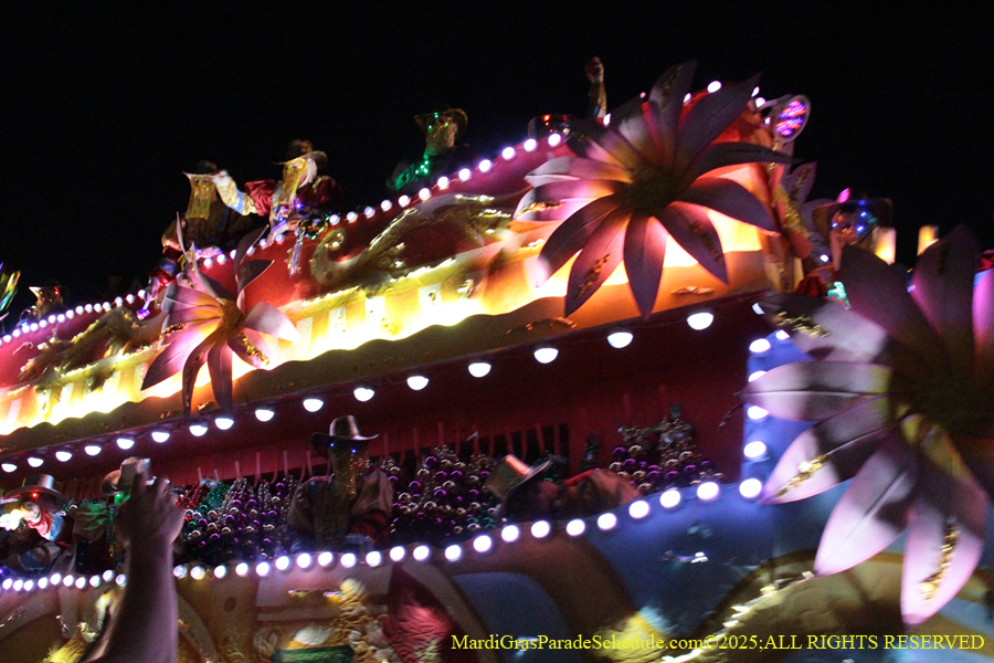 Krewe-of-Endymion-2025-1241