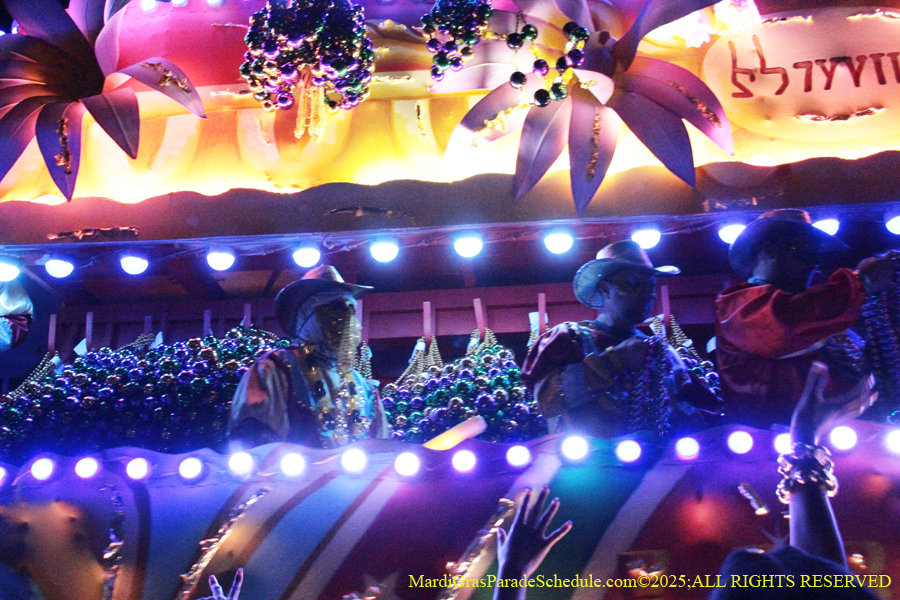 Krewe-of-Endymion-2025-1245