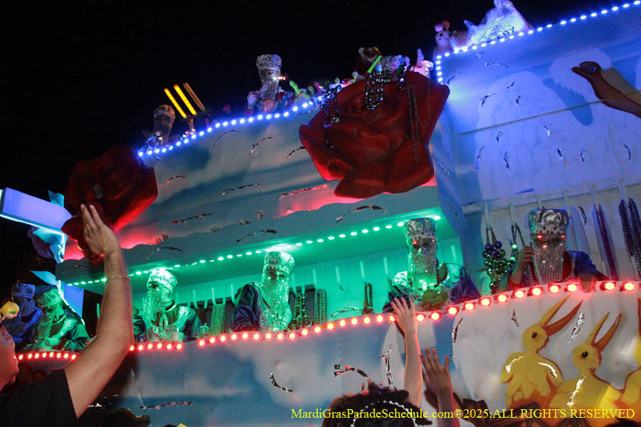 Krewe-of-Endymion-2025-1269