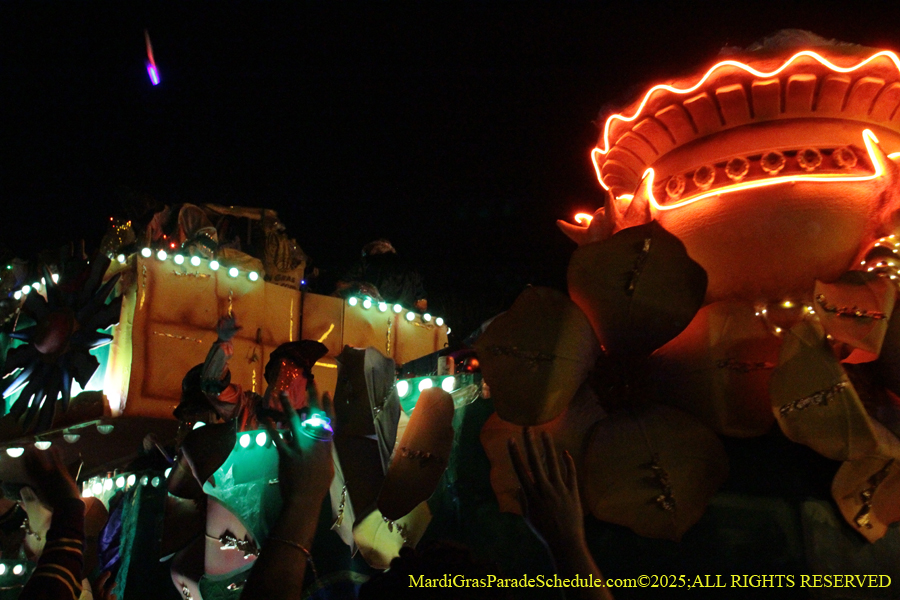 Krewe-of-Endymion-2025-1302