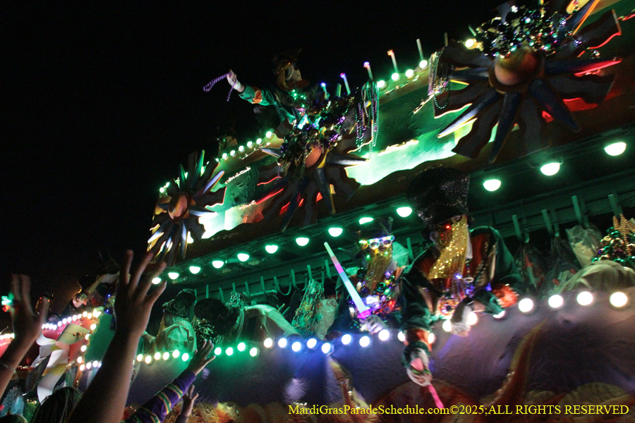Krewe-of-Endymion-2025-1307
