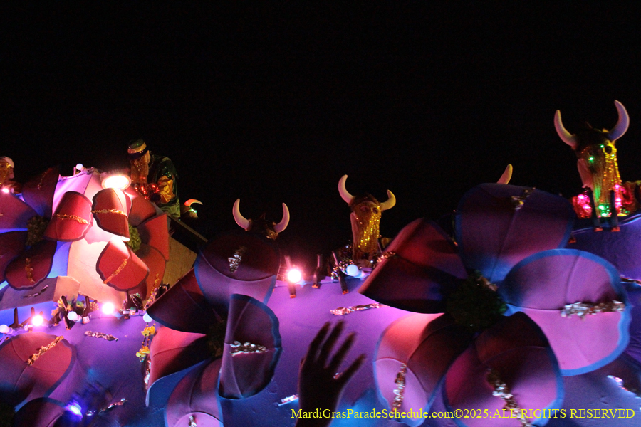 Krewe-of-Endymion-2025-1315