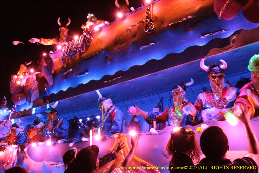 Krewe-of-Endymion-2025-1320