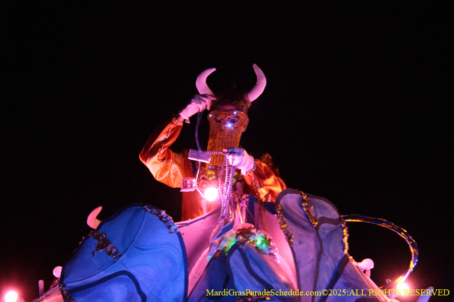 Krewe-of-Endymion-2025-1322