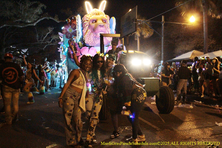 Krewe-of-Endymion-2025-1329