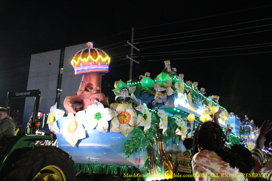 Krewe-of-Endymion-2025-1357