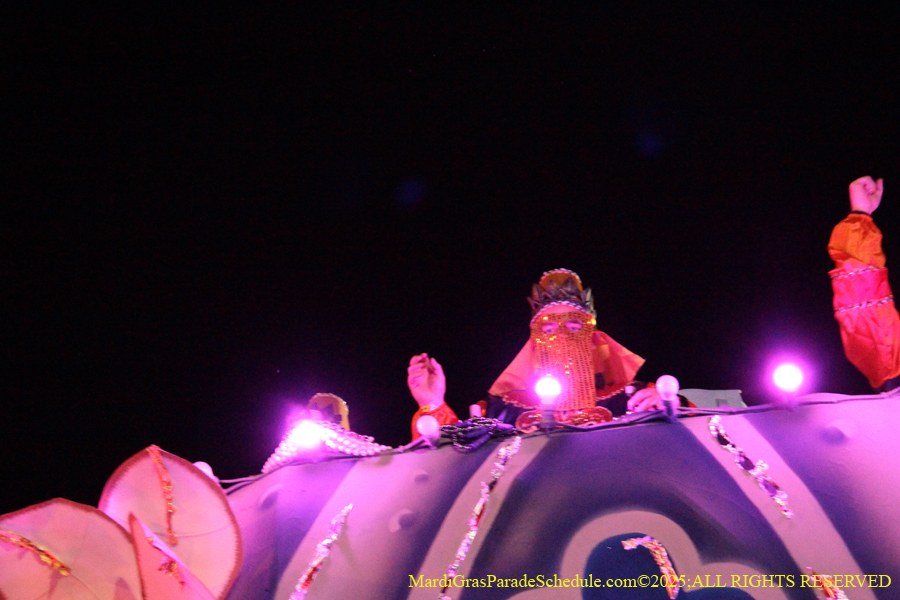 Krewe-of-Endymion-2025-1406