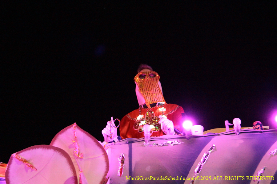 Krewe-of-Endymion-2025-1407