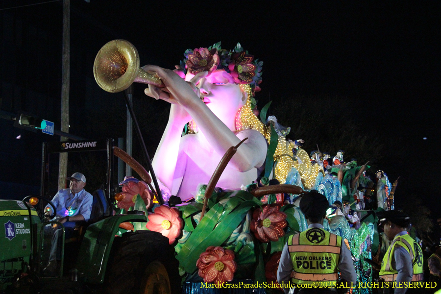 Krewe-of-Endymion-2025-1480