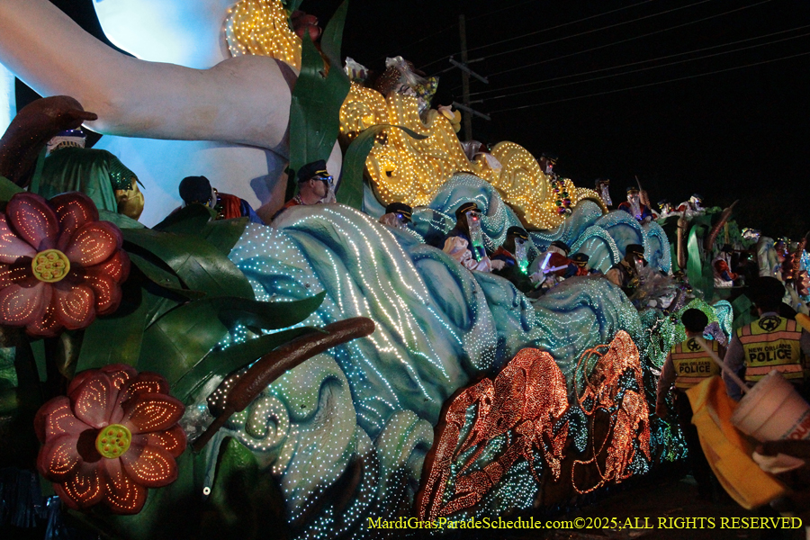 Krewe-of-Endymion-2025-1484