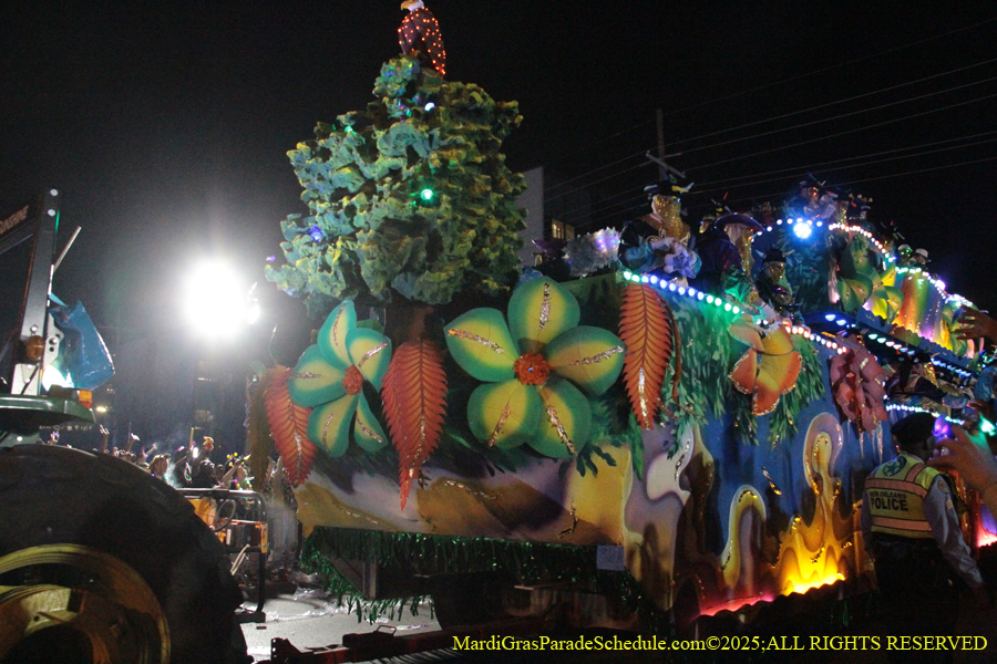 Krewe-of-Endymion-2025-1507