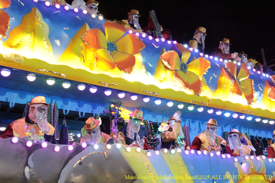 Krewe-of-Endymion-2025-1559