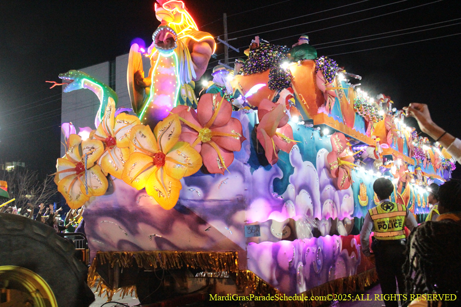Krewe-of-Endymion-2025-1565