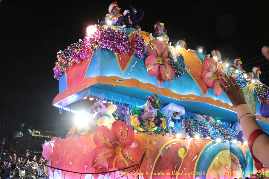 Krewe-of-Endymion-2025-1571