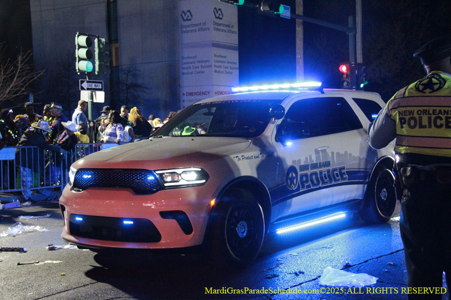 Krewe-of-Endymion-2025-1576