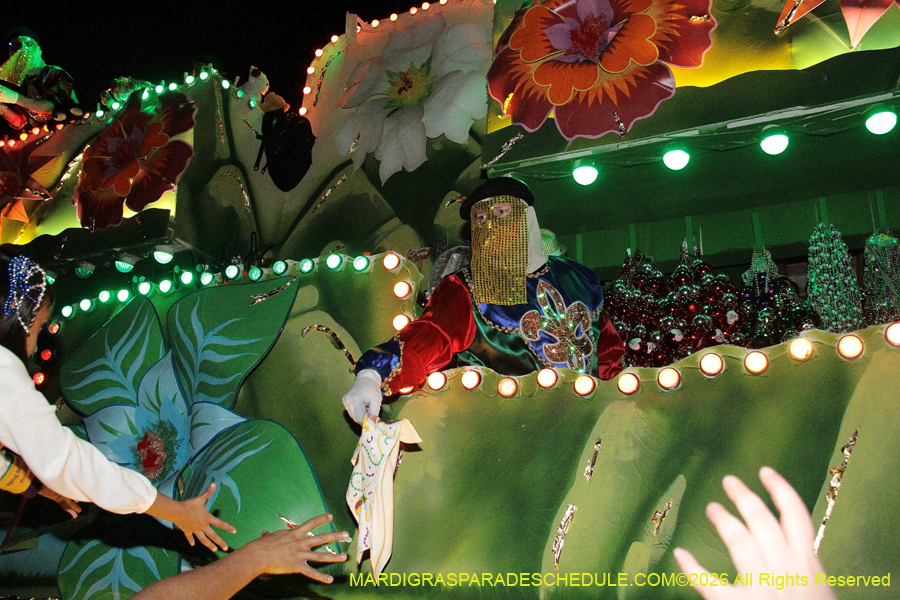 Krewe-of-Endymion-2026-8109