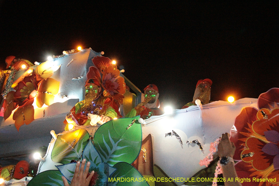 Krewe-of-Endymion-2026-8222