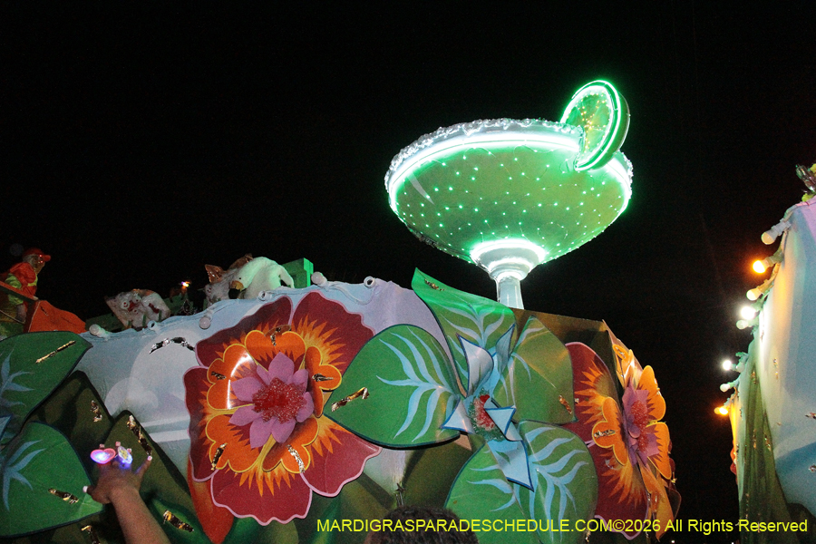 Krewe-of-Endymion-2026-8227