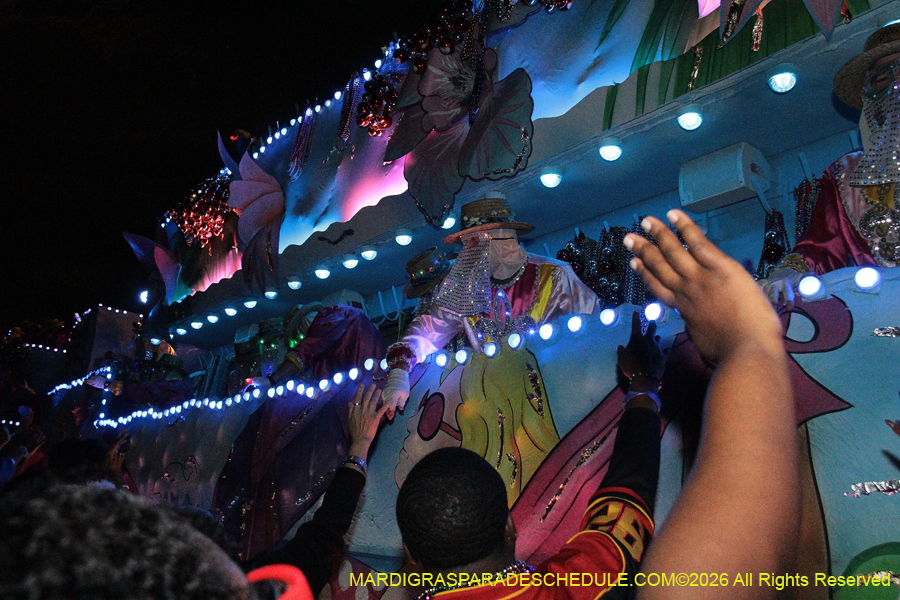 Krewe-of-Endymion-2026-8418