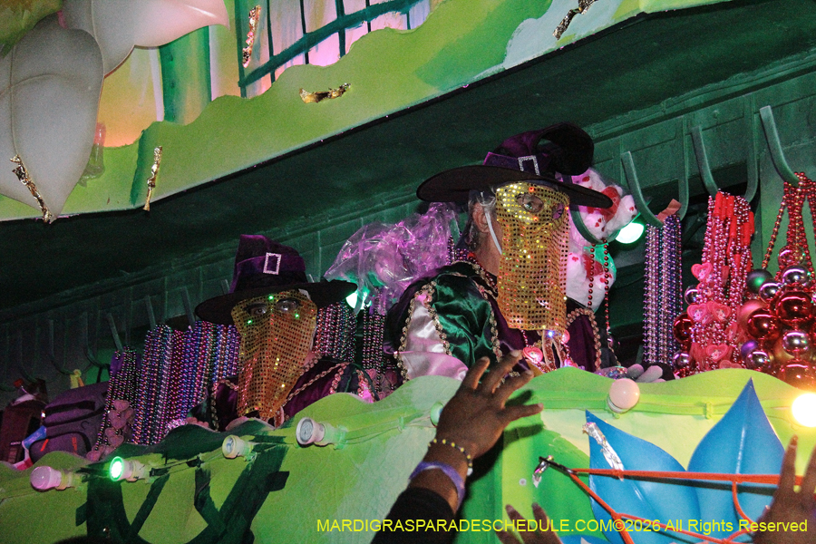Krewe-of-Endymion-2026-8449