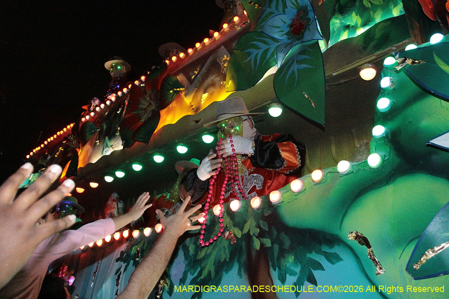 Krewe-of-Endymion-2026-8462