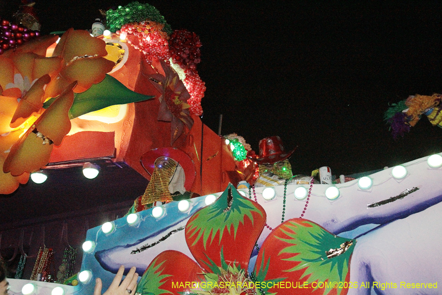 Krewe-of-Endymion-2026-8491