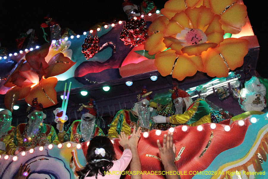 Krewe-of-Endymion-2026-8501