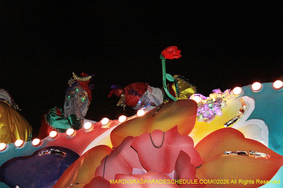 Krewe-of-Endymion-2026-8502