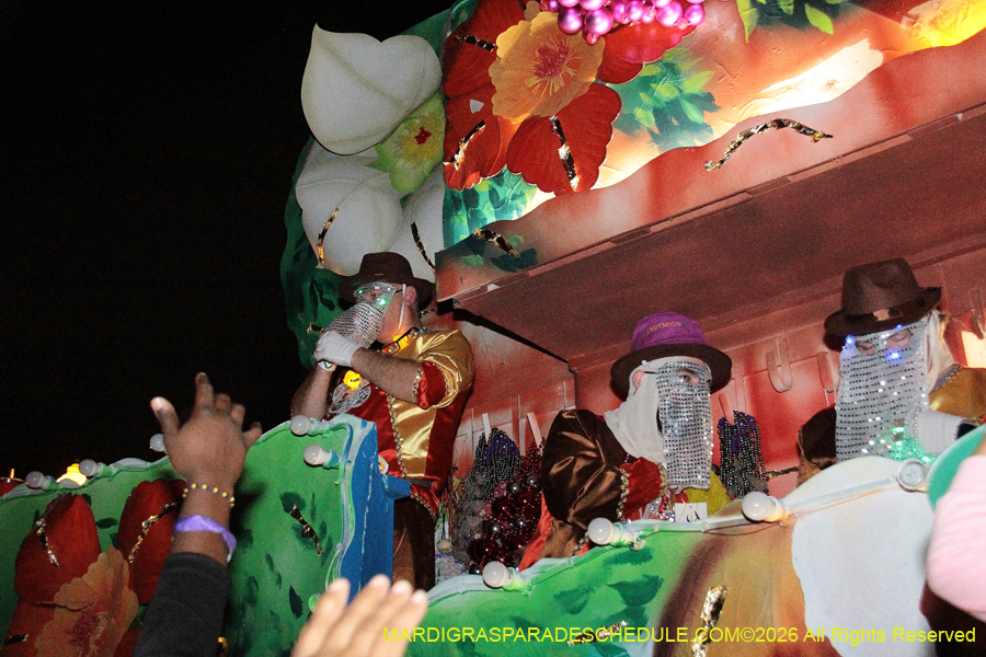 Krewe-of-Endymion-2026-8519