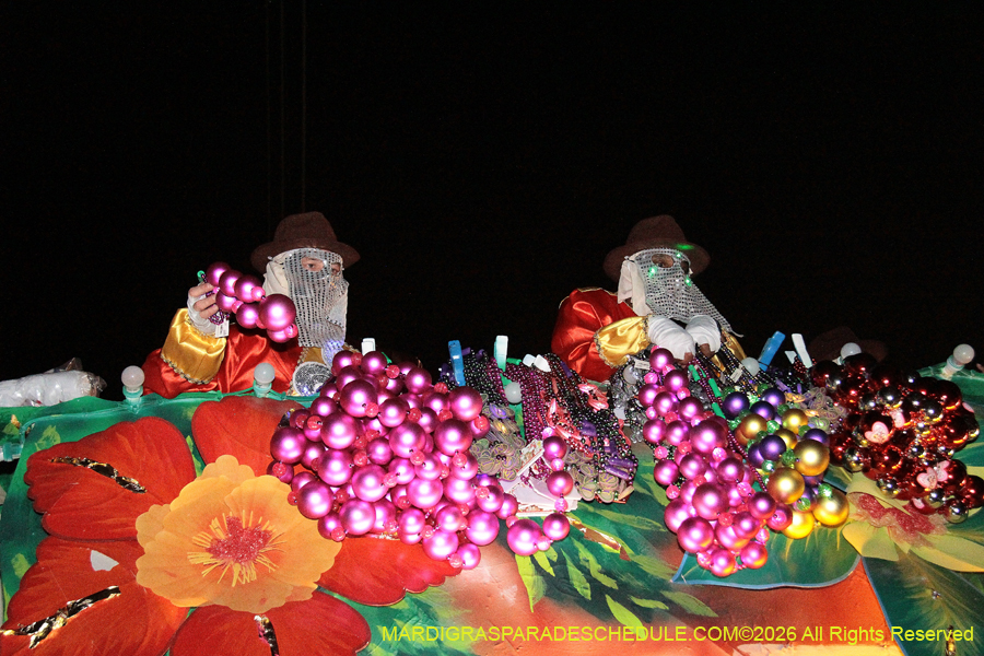 Krewe-of-Endymion-2026-8520