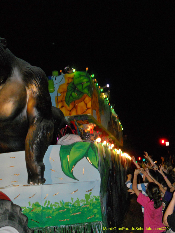 Krewe-of-Eve-AG-2011-0076