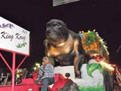 Krewe-of-Eve-AG-2011-0075