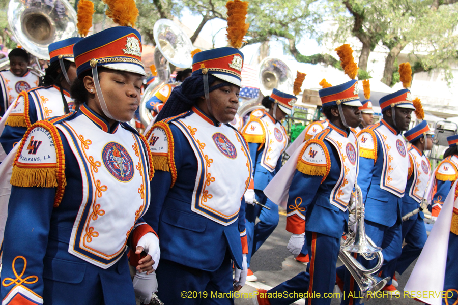 M-Krewe-of-Femme-Fatale-2019-002702