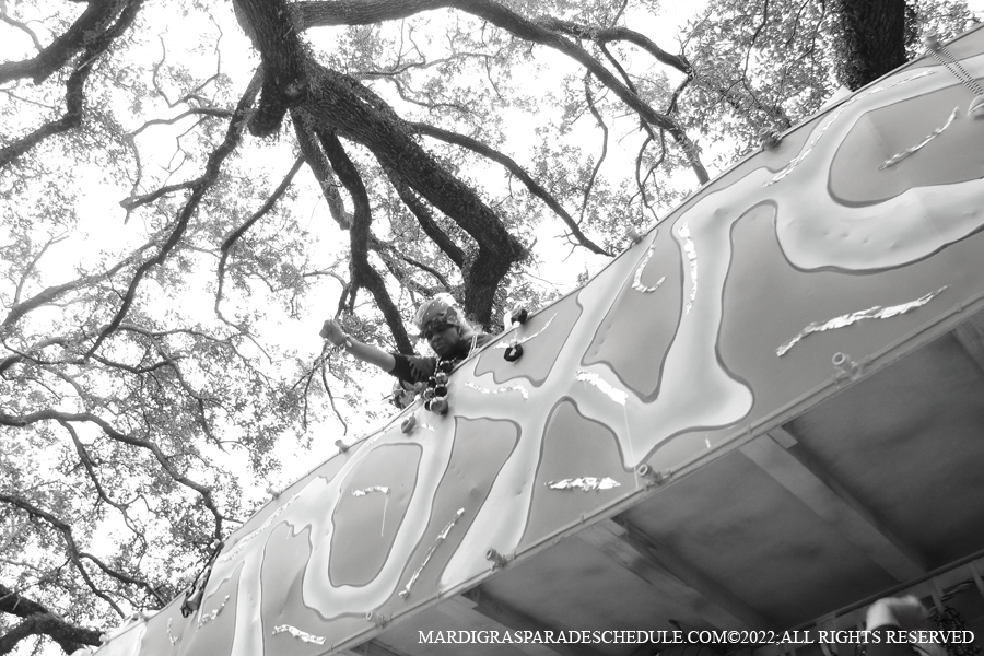 Krewe-of-Femme-Fatale-00106-2022