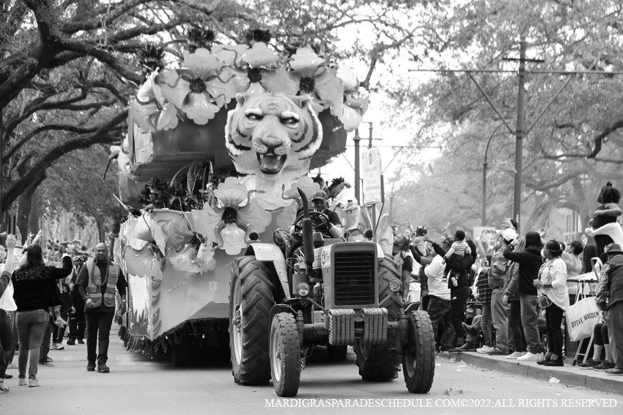 Krewe-of-Femme-Fatale-00111-2022