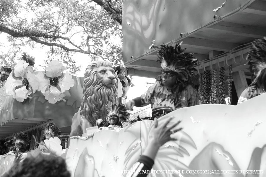 Krewe-of-Femme-Fatale-00115-2022