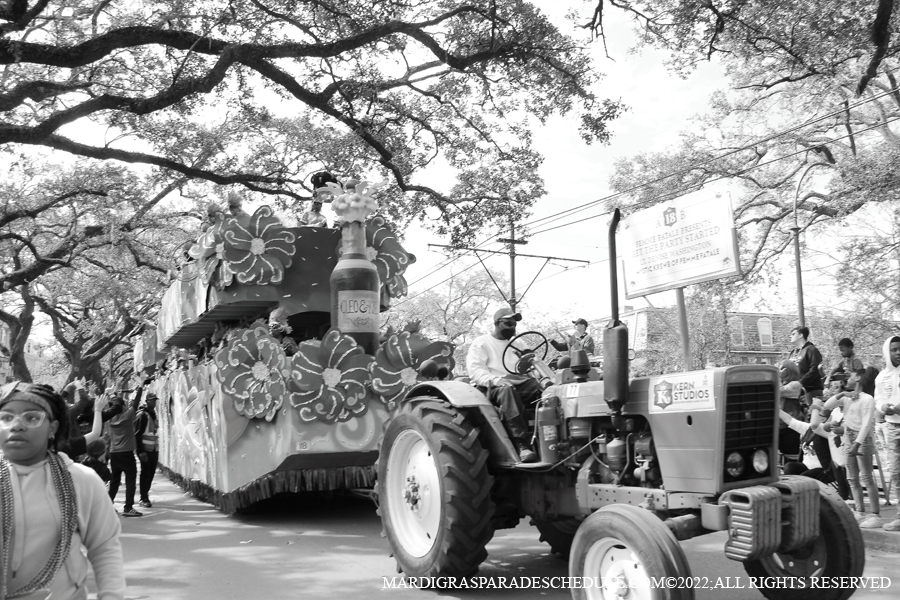 Krewe-of-Femme-Fatale-00157-2022