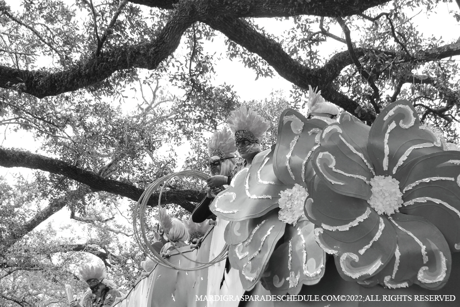 Krewe-of-Femme-Fatale-00158-2022