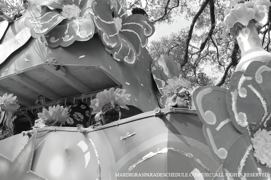 Krewe-of-Femme-Fatale-00159-2022